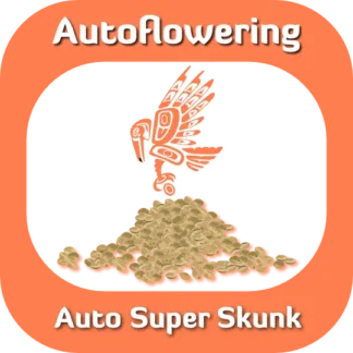 Autoflower Auto Super Skunk seeds