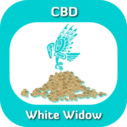 CBD White Widow seeds