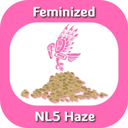 Feminized NL5 Haze seeds