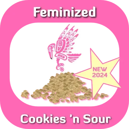 Feminized Cookies 'n Sour seeds