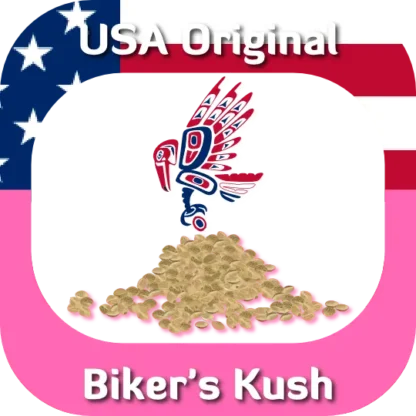 USA Original Biker's Kush seeds