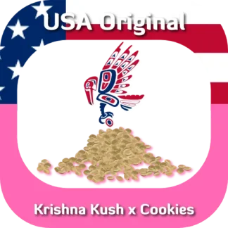 USA Original Krishna Kush x Cookies seeds