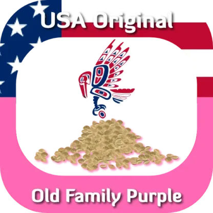 USA Original Old Family Purple seeds