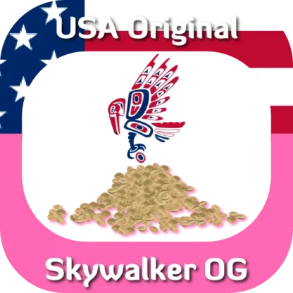 USA Original Skywalker OG seeds