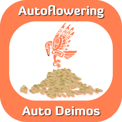 Autoflowering Auto Deimos seeds