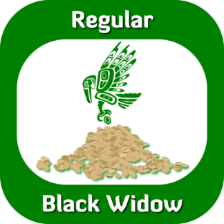 Black Widow seeds