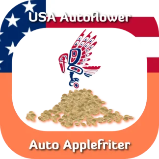 USA Autoflower Auto Applefriter seeds