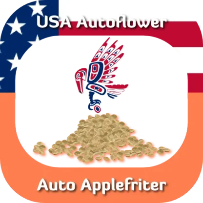 USA Autoflower Auto Applefriter seeds