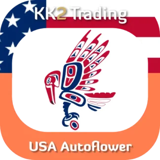 USA Autoflower