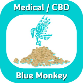 Medical CBD Blue Monkey seeds