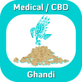 Medical CBD Ghandi seeds