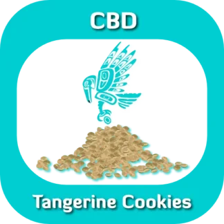 CBD Tangerine Cookies seeds