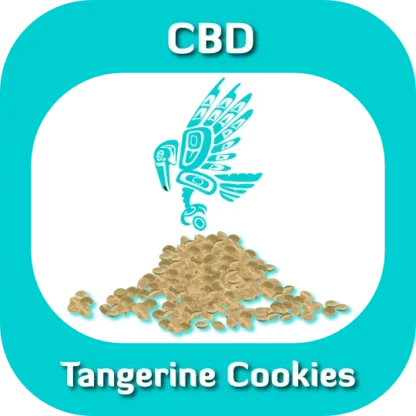 CBD Tangerine Cookies seeds