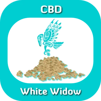 CBD White Widow seeds