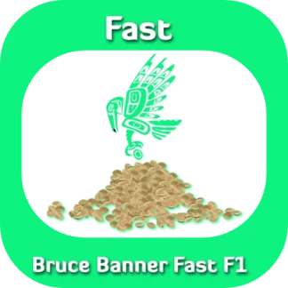 Fast F1 Bruce Banner seeds