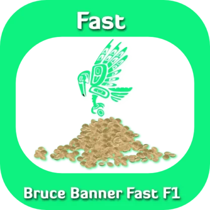 Fast F1 Bruce Banner seeds