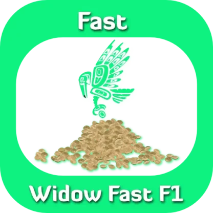 Fast F1 Widow seeds