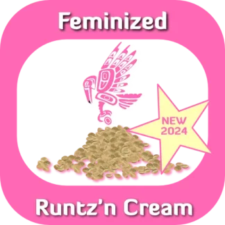 Feminized Runtz'n Cream seeds