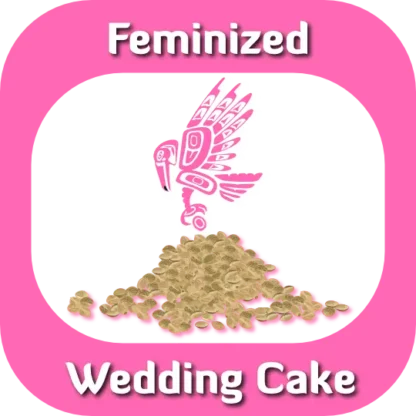 Feminized Wedding Cake seeds