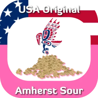 USA Original Amherst Sour seeds