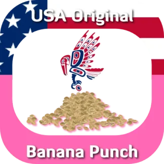 USA Original Banana Punch seeds