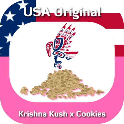 USA Original Krishna Kush x Cookies seeds